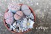 20250928_172528_lithops 